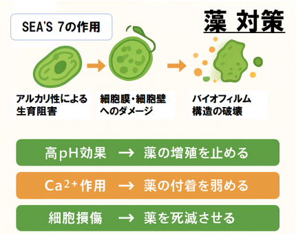 藻対策図 59bf2fc2a919bb92bfd90cdee67b5f7d