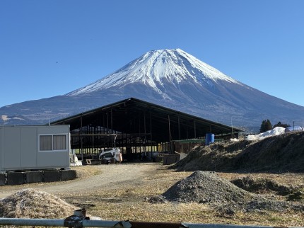 CB290251-038F-4F04-B220-D9193C96F10D