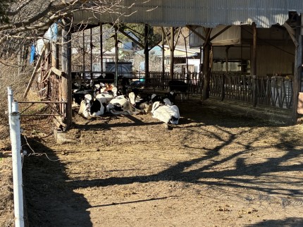 E79D4E75-25FC-4A0B-B746-20CFBB20783D