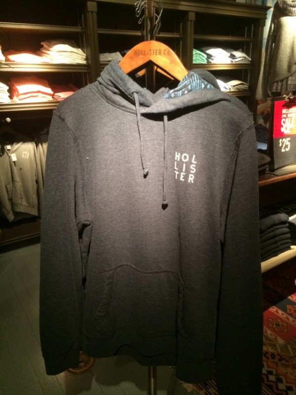 hollster-e1421135494575